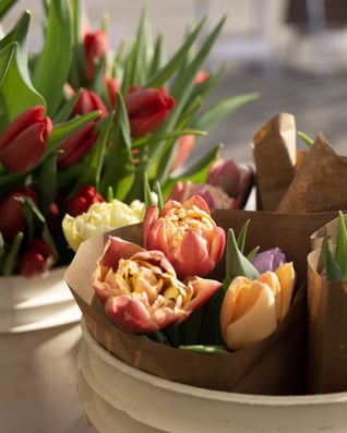 495948141_18499986481059316_7889882802221016728_n