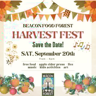 514640337_18514688740022469_2656467117806324562_n