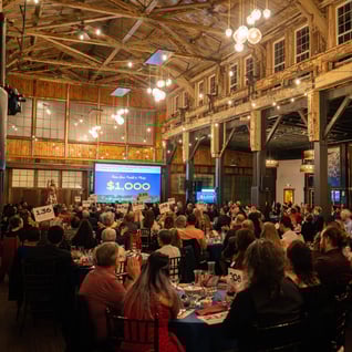 DSC01063-Enhanced-NR