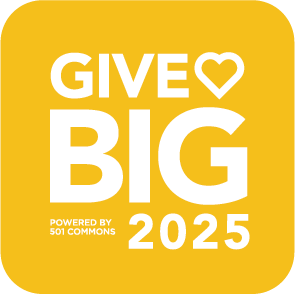GiveBIG25-Solid