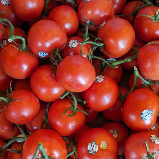 PXL_20230720_181804197-PORTRAIT